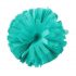 Plume hsir clip